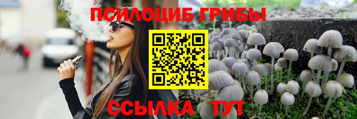 Алейск  Псилоцибиновые грибы ЛСД  Вход с VPN 