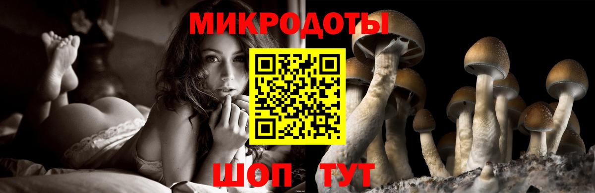 Галлюциногенные грибы мухоморы Алейск